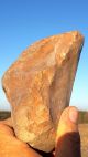 Large Acheulean Nosed Hand Tool Neolithic Paleolithic Neolithic & Paleolithic photo 5
