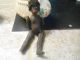 Antique Primitive Handmade African American Clay Doll Found In 1970 Estate Primitives photo 3
