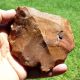 Acheulean Hand Axe Tool Neolithic Paleolithic Neolithic & Paleolithic photo 3