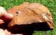 Acheulean Hand Axe Tool Neolithic Paleolithic Neolithic & Paleolithic photo 6