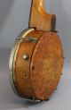 Antique Circa - 1920s Lyra Ukulele Banjo W/ Birdseye Maple Body & Back,  Br String photo 6