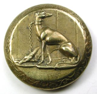 Antique Brass Sporting Button 2 Detailed Chained Greyhound Dogs Design - 1 