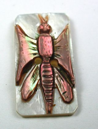 Antique Iridescent Carved Shell Rectangle Button Dragonfly Design - 3/4 