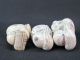 Three Chinese Hand Carved Boy Bone Netsuke Baskets photo 4
