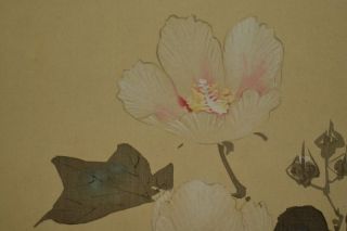 Hanging Scroll 78”×17” Japanese Painting Flower Moon Japan Asian Art Ink A178 photo