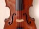 Fine Antique Handmade German 4/4 Fullsize Violin - 1920 ' S String photo 3