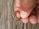 Mens Islamic Ring Brass Nomadic Antique Afghan Vintage Deer Intaglio Size 9.  9 Islamic photo 2