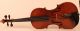 Old Master Violin Labeled Fiorini 1925 Violon Violine Violino Viola String photo 1