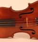 Old Master Violin Labeled Fiorini 1925 Violon Violine Violino Viola String photo 3
