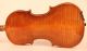 Old Master Violin Labeled Fiorini 1925 Violon Violine Violino Viola String photo 4