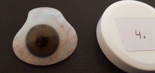 Old German Human Glasseye Prosthetic Vintage Antique Ww2 Glass Eye No.  4 photo