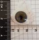 Old German Human Glasseye Prosthetic Vintage Antique Ww2 Glass Eye No.  4 Other Medical Antiques photo 1