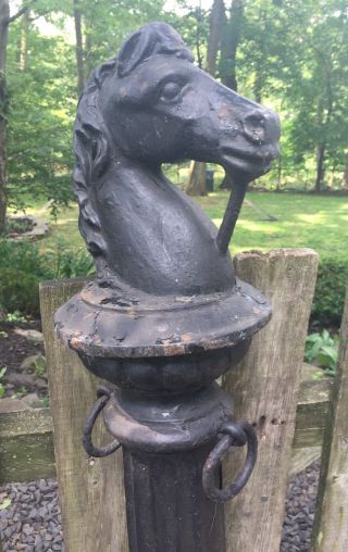 19th Century Standing Cast Iron Horse Head Hitching Post 58 