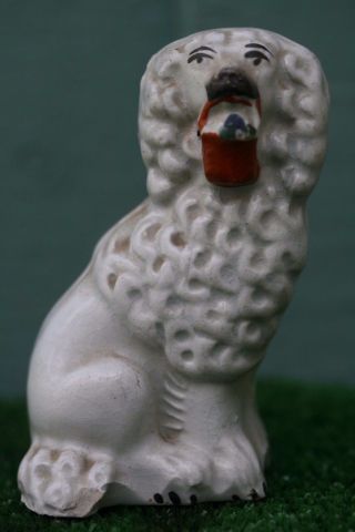 Mid 19thc Staffordshire Miniature Poodle Dog With Flower Basket C1860s photo