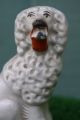 Mid 19thc Staffordshire Miniature Poodle Dog With Flower Basket C1860s Figurines photo 1