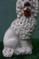 Mid 19thc Staffordshire Miniature Poodle Dog With Flower Basket C1860s Figurines photo 2