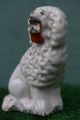 Mid 19thc Staffordshire Miniature Poodle Dog With Flower Basket C1860s Figurines photo 3