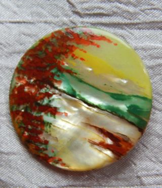 Vintage Hand Painted Button Mother Of Pearl Shell Back Marked 105c photo