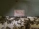 Hickory Chair Co Nc French Toile Chairs (pair) Need Reupholstered Post-1950 photo 9