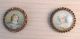 4pc Antique Very Old Charlotte Corday Buttons & 4 Pc.  Enamel Buttons photo 6