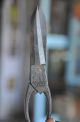 8 Pc Old Iron 1930 ' S Handcrafted Different Shears / Scissors,  Rich Patina Tools, Scissors & Measures photo 7