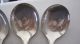 4 Gorham Etruscan Round Bowl Cream Soup Spoons 6 1/4 