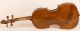 300 Years Old Italian Violin D.  Tecchler Geige Violon Violino Violine 小提琴 バイオリン String photo 3