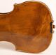 300 Years Old Italian Violin D.  Tecchler Geige Violon Violino Violine 小提琴 バイオリン String photo 5