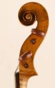 300 Years Old Italian Violin D.  Tecchler Geige Violon Violino Violine 小提琴 バイオリン String photo 7