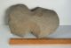 Prehistoric Hohokam Agave Knife Or Digging Tool Arizona Stone Artifact Anasazi The Americas photo 5