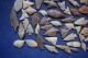 75,  Common Sahara Neolithic Tools Neolithic & Paleolithic photo 4