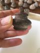 Pre Columbian Ancient Mayan Artifact Pottery Whorl Spindle Bead 3 The Americas photo 2
