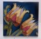 English Art Nouveau Ceramic 3 Tile Group Tubelined Tulips C1900 Iridescent Glaze Architectural & Garden photo 1