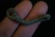 Ancient Viking Twisted Bronze Mantle Leather Ropes Connector,  Circa 1150 Ad Rare Scandinavian photo 8