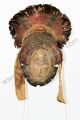 African Tribal - 3458 Dan Wee Deangle Celebration Dancer Mask,  Cote D ' Ivoire Other African Antiques photo 7