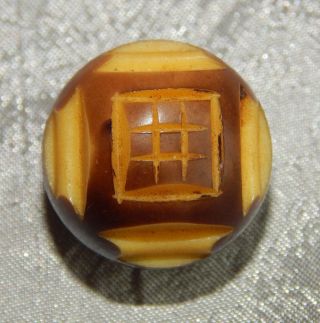 Antique Vintage Vegtable Ivory Button Carved Ball 209c photo