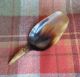 Antique Scottish Hand - Carved Highland Cow Horn Tea Caddy Scoop / Spoon 1880s Primitives photo 1