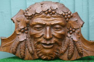 Stunning 19thc Gothic Black Forest Large Oak Wooden Carving Of: Green Man C1880s photo
