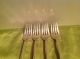 Vtg 1941 Rogers Bros Is Eternally Yours 4 Grille Dinner Forks Silverplate Flatware & Silverware photo 2