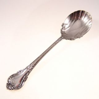 Silverplated Sugar Spoon Forbes Silver Co Collectible Vintage photo