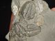 Six Entwined 100 Natural Utah Trilobite Fossils In Cambrian Matrix 195gr B The Americas photo 9