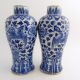 Chinese Blue & White Porcelain Vases,  With Twin Phoenix,  Kangxi Mark Vases photo 1