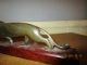 Antique Chinese / Japanese / Inuit Antler Carving Of A Lion On Wood Plinth Other Ethnographic Antiques photo 4