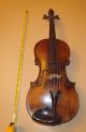 Rare Old German 19th Century Josef Klotz Lion Head Antique Violin,  Case Other Antique Instruments photo 1