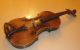 Rare Old German 19th Century Josef Klotz Lion Head Antique Violin,  Case Other Antique Instruments photo 2