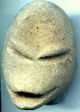 Pre - Columbian Aztec Monkey Effigy Clay Figure Head,  Ca;700 - 1200 Ad The Americas photo 1