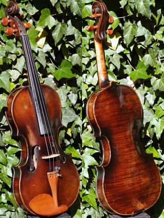 Fine Antique Violin - J.  Lidl,  Brno,  Model L.  Widhalm.  Solid Build & Sound photo