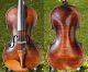 Fine Antique Violin - J.  Lidl,  Brno,  Model L.  Widhalm.  Solid Build & Sound String photo 1