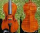 Antique Czech Violin - Ladislav F.  Prokop,  Chrudim,  1917.  Tone & Build String photo 1