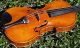 Antique Czech Violin - Ladislav F.  Prokop,  Chrudim,  1917.  Tone & Build String photo 3